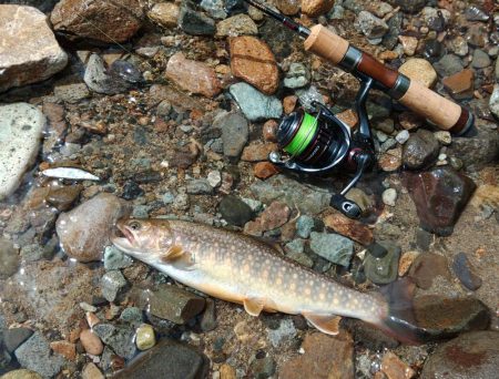 増水の谷でイワナ釣り